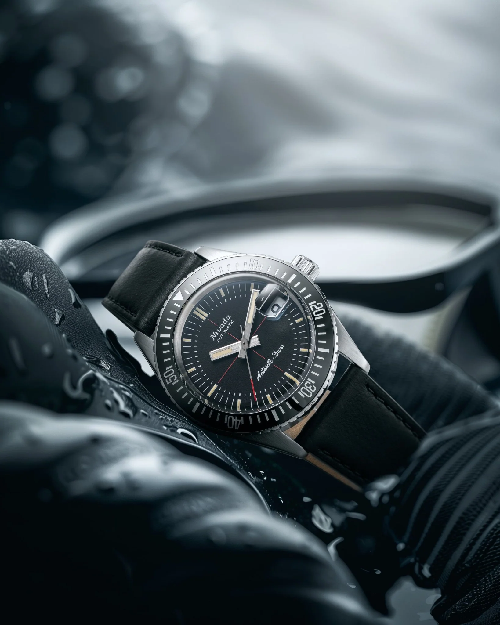 ANTARCTIC DIVER - 38mm - Image 5