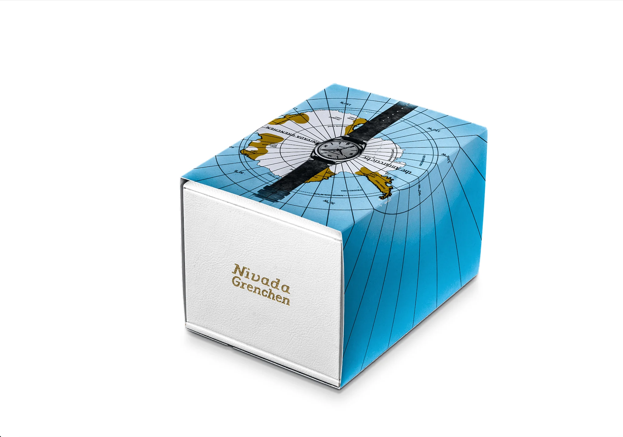 ANTARCTIC SPIDER - Image 9